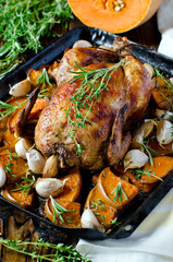 Baked chicken with pumpkin and herbs