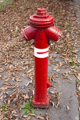 Fototapeta na wymiar Fire hydrant closeup in suburban location