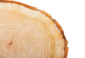 close-up wooden cut texture