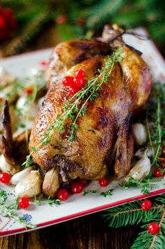 Christmas chicken, turkey with cranberry