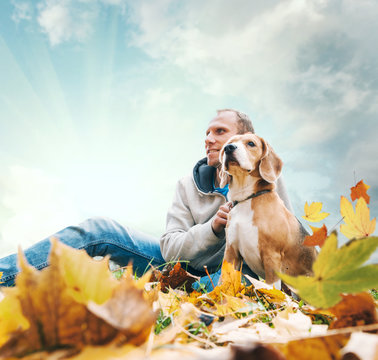 Man with beagle on autumn view landscape