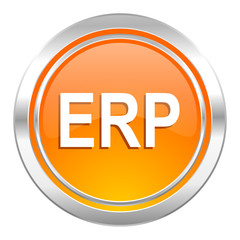 erp icon