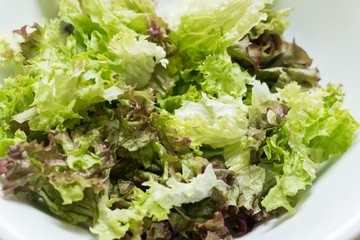 Green lettuce in a white bowl