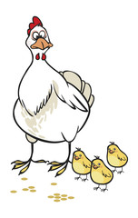 Funny vector cartoon hen and chicks