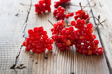 Ripe tasty viburnum