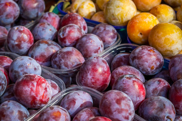 Background of ripe fresh plums at market