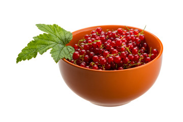 Red currant