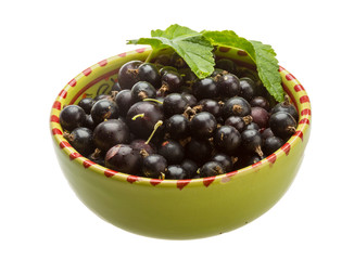 Black currant