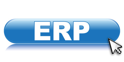 ERP ICON