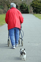 Was passiert mit Haustier im Pflegefall