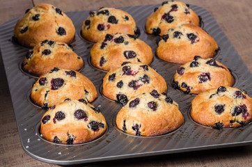 Muffin pan with baked muffins
