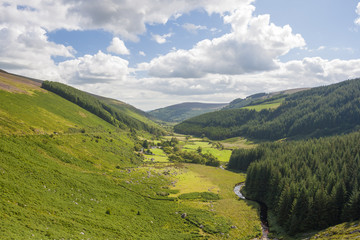 Valley in Wicklow