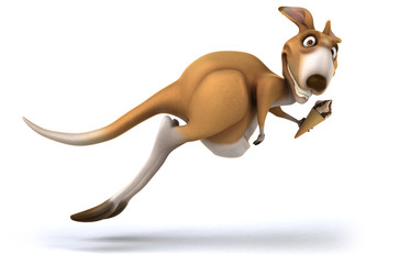 Fun kangaroo © Julien Tromeur