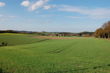 Lippische Hügellandschaft