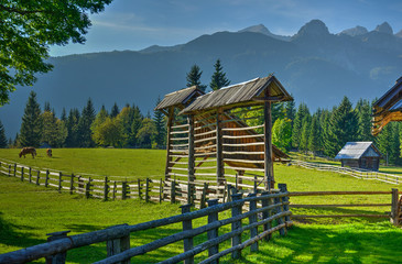 Hayrack in the Alpine Meadow Uskovnica in Bohinj