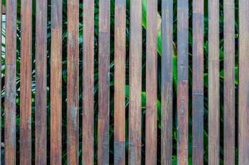 Wooden Palisade background. Close up of grey and green wooden fe
