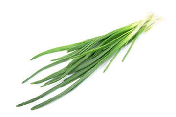 Fototapeta premium Onion