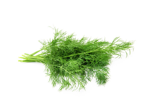 dill isolated on white