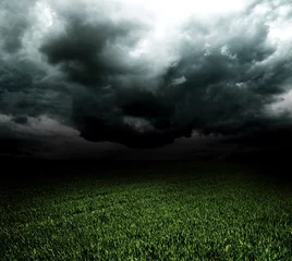 Papier Peint photo Été Storm dark clouds over field with grass