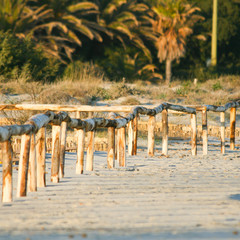 Artistic Sunrise Fence