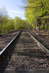 Railroad Track Scenic