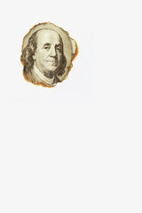 close up of dollar bill