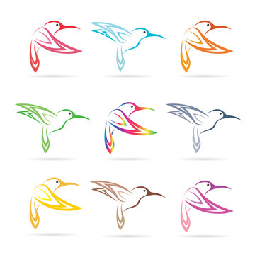 Vector group of hummingbird on white background