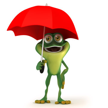 Frog with umbrella