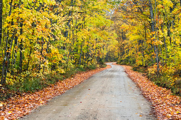 Autumn Country Road