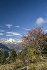 Leventina im Herbst