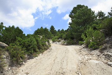 Scenic dirt road in the mountains.