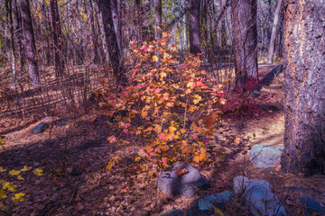 Beautiful Sedona Arizona on a Autumn Day