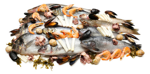 Fresh catch of fish and other seafood isolated on white