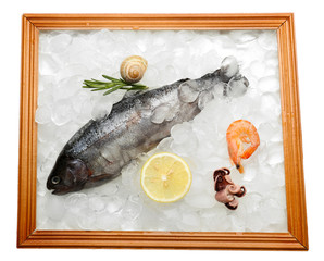 Fresh fish and other seafood on ice