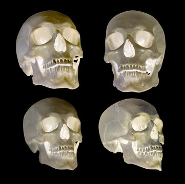 set of four human skull isolated on black