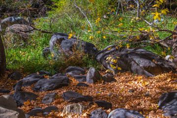 Beautiful Sedona Arizona on a Autumn Day