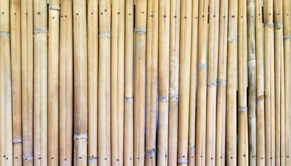 Old bamboo wall.