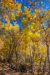 Beautiful Sedona Arizona on a Sunny Autumn Day