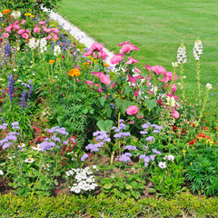beautiful flower bed and green grass
