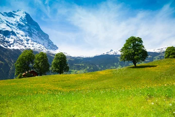 Gordijnen Summer nature landscape near Alps © Sergey Novikov