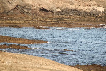 paysage fuerteventura