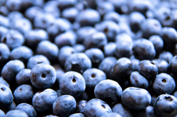 blueberry
