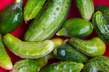 cucumbers