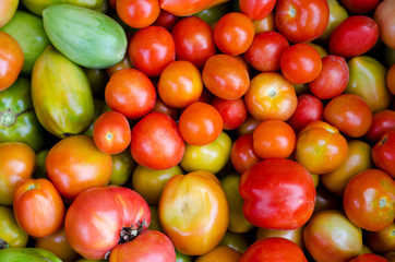 tomatoes