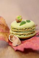 macaron