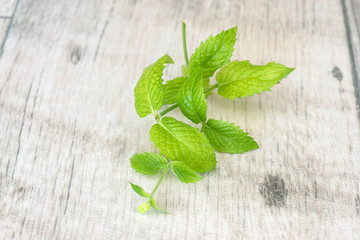 mint leaves on a wooden table