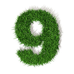 9 nove numero 3d erba verde, isolato su sfondo bianco