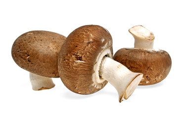 Fresh mushroom champignon isolated on white background