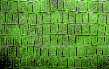 Abstract green alligator patterned background