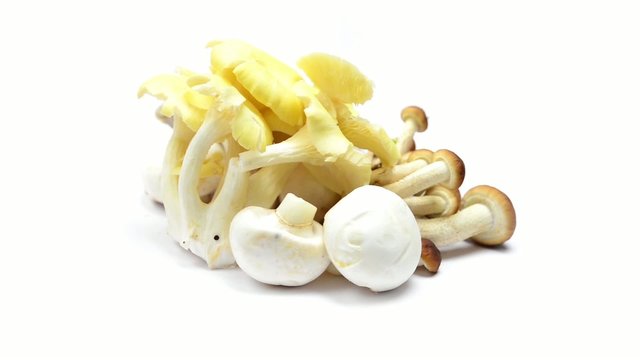 Funghi misti rotanti su sfondo bianco